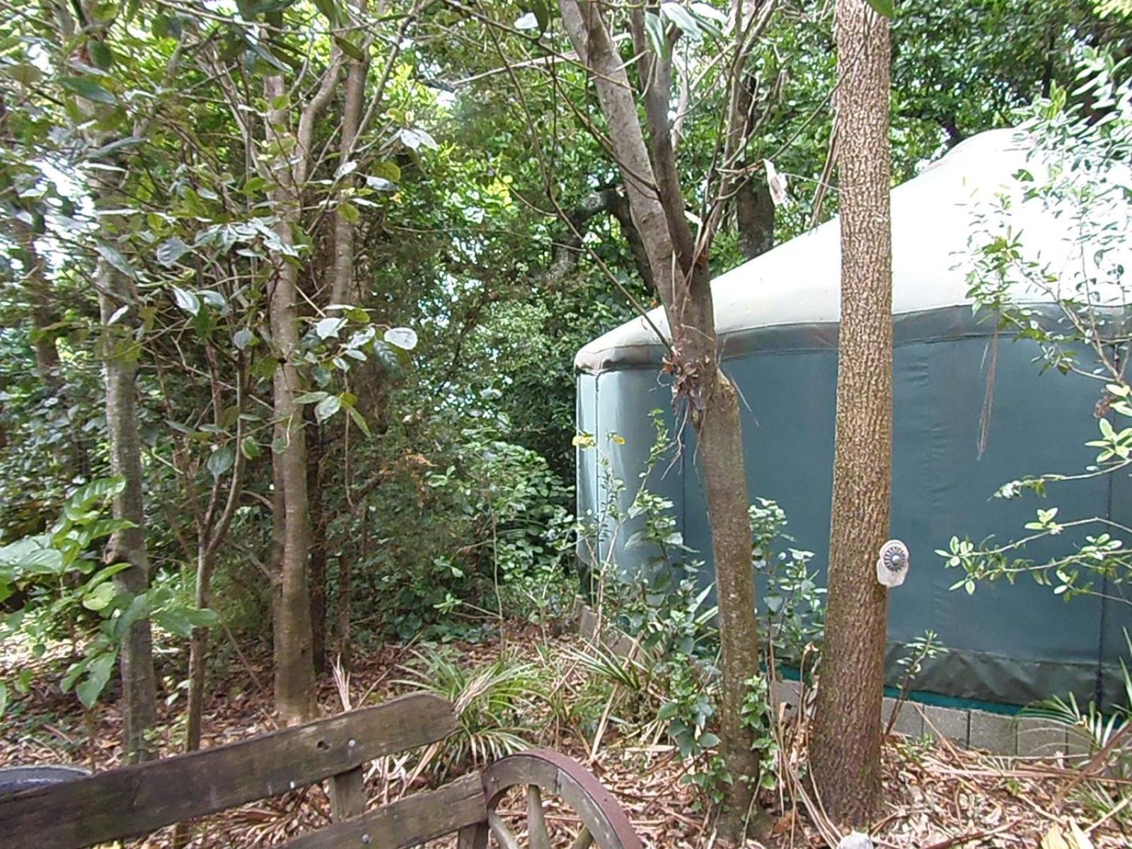 Nikau Sanctuary Hotell Raglan Exteriör bild